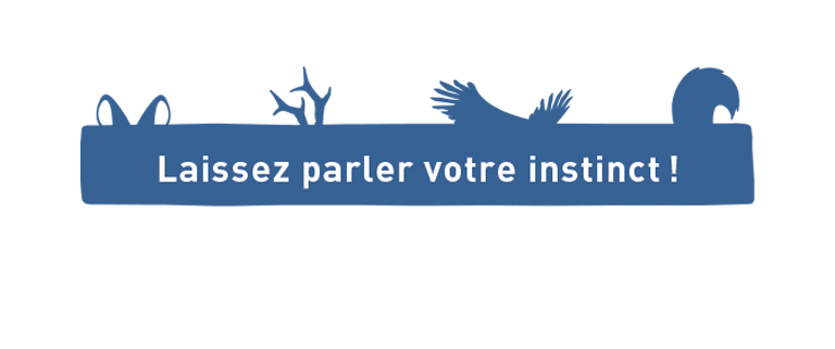 Choix & tarifs Choix & tarifs